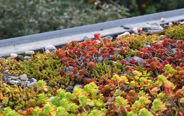 the cost of Croxton Kerrial green roof installation