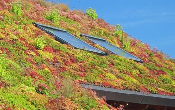 Croxton Kerrial living roof systems